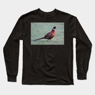 Pheasant in the dewy grass Long Sleeve T-Shirt